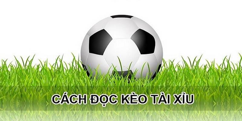 Đọc kèo tài xỉu 0.5/1 trái thú vị