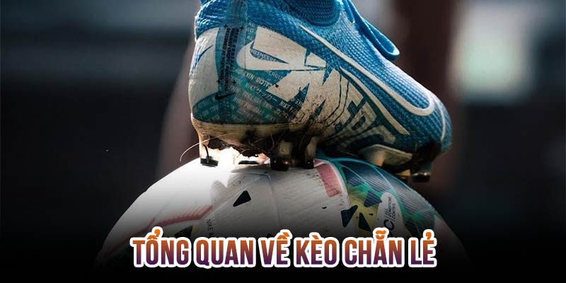 Tìm hiểu tổng quan kèo chẵn lẻ